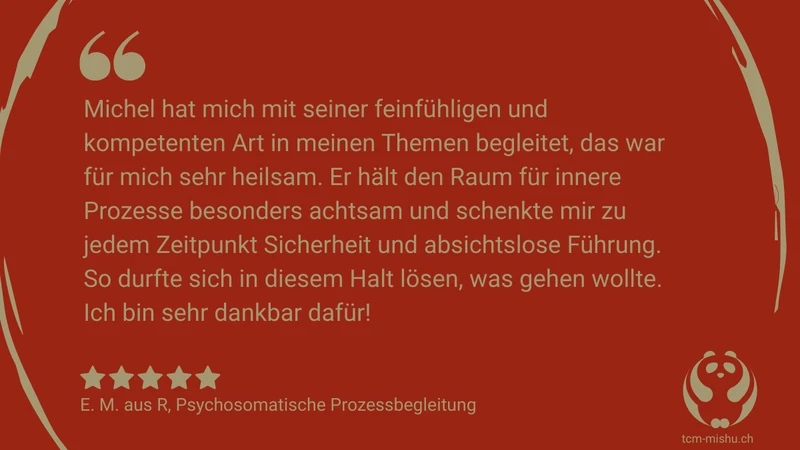 2026_rezension_em_psychosometische-prozessbegleitung