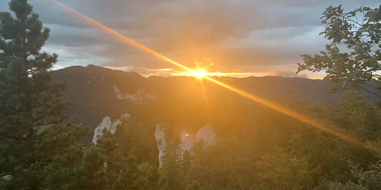 header_ganzheitlich